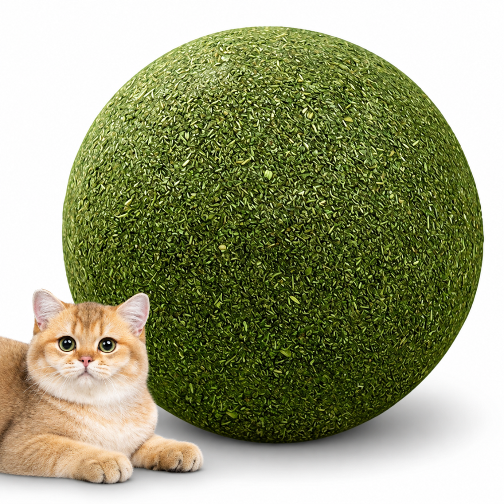 Vovena™ Kattmynta Aktivitetsboll