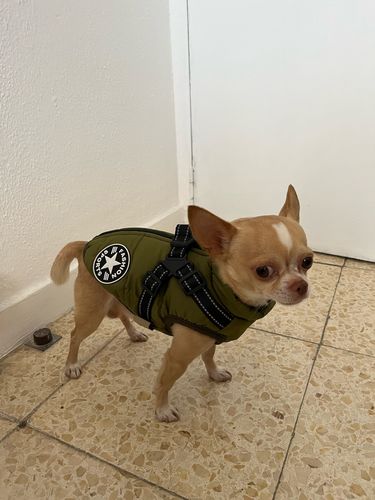 Customer photo from FurryPet™