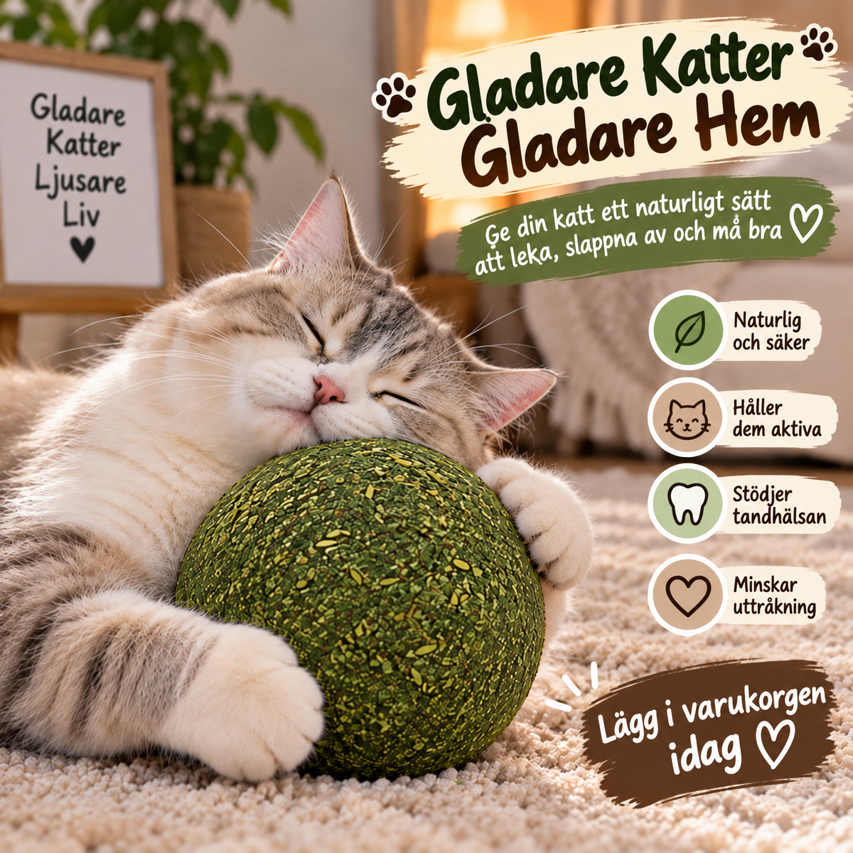 Vovena™ Kattmynta Aktivitetsboll