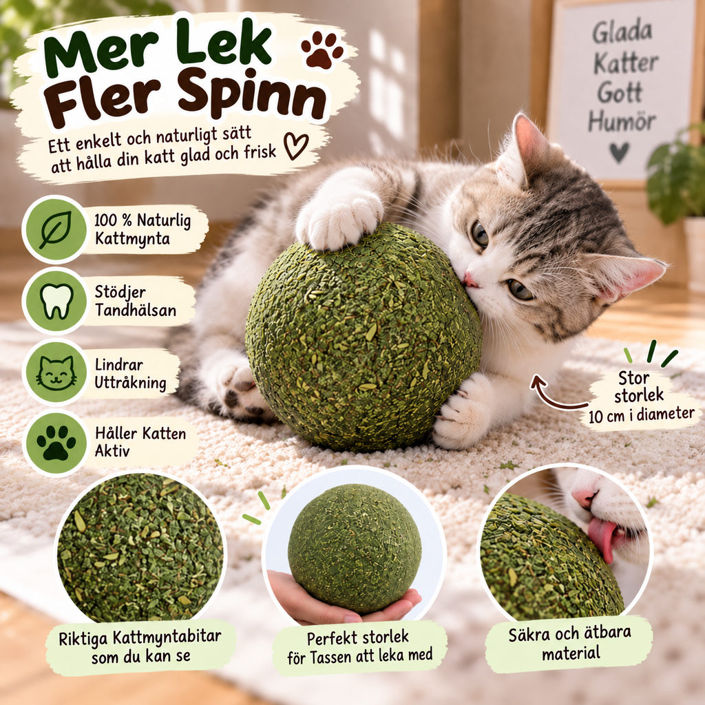 Vovena™ Kattmynta Aktivitetsboll