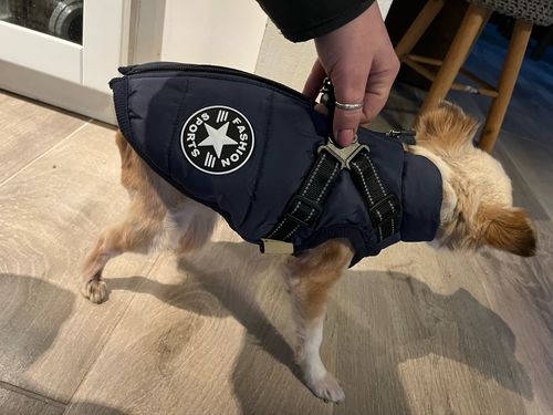 Customer photo from FurryPet™